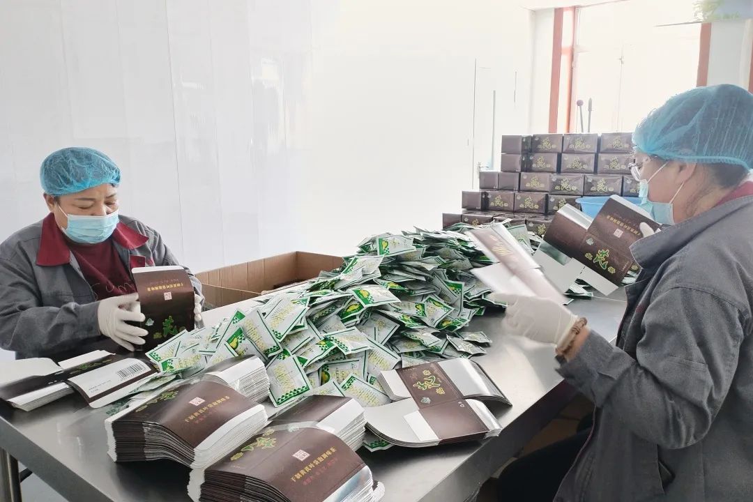 韓家園林業局 做實“兩山”轉化文章，繪就林下經濟發展新畫卷，助力電子產品銷售